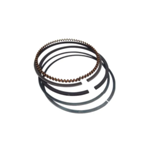 Anillos motor